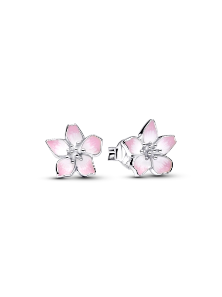 Cherry Blossom ⭐️