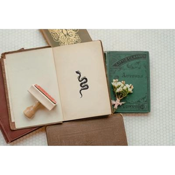 Snake Book Stamp, Personalized Book Lover Gift, From the Library of, Custom Ex Libris Stamp