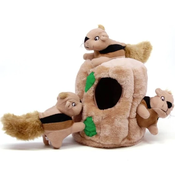 Outward Hound Hide-A-Squirrel Dog Toy