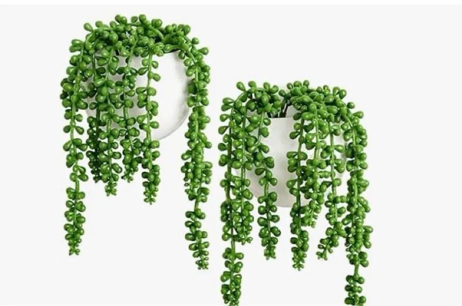 Amazon.com: Dahey Wall Planters with Fake String of Pearls Plant Artificial Succulent Small Modern Ceramic Mounted Planter Round Hanging Wall Vase Display Holder for Indoor Garden Office Decor, Set of 2 : Patio, Lawn & Garden