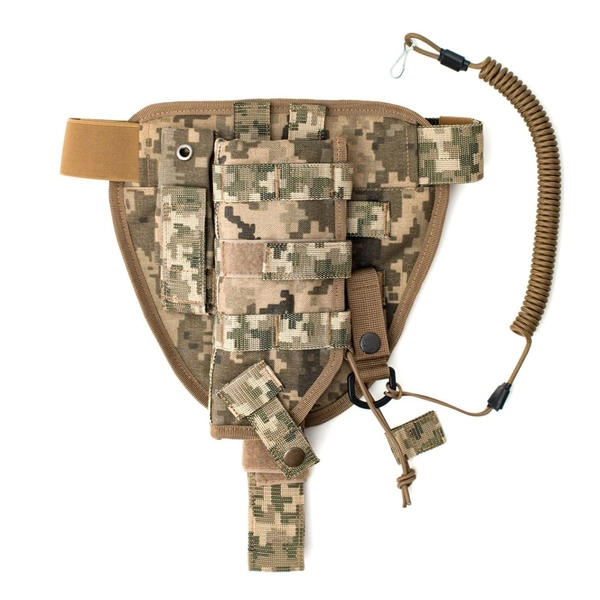 Holster
