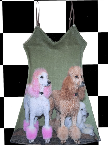 SWEET LORD O'MIGHTY! POODLES POINTELLE DRESS