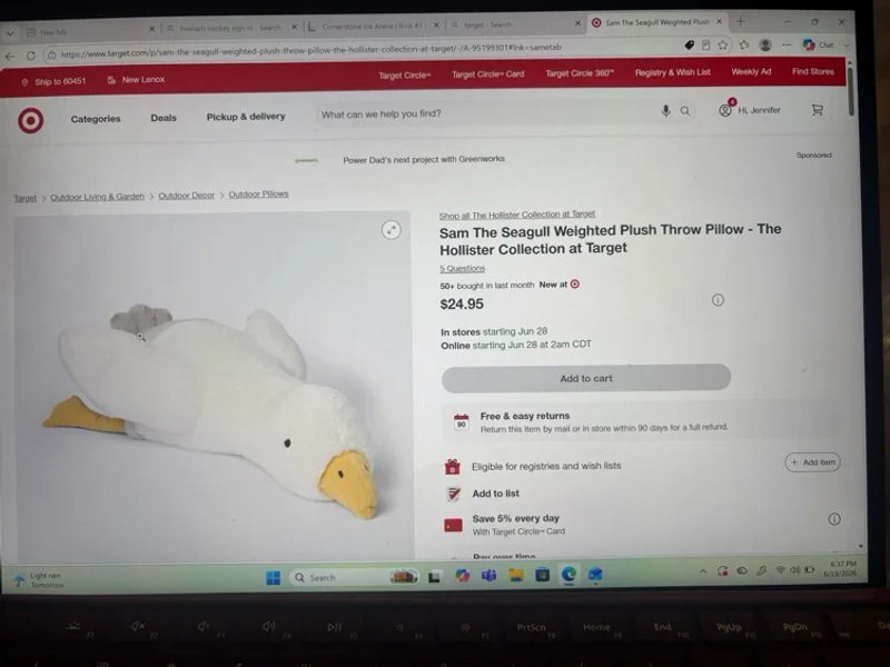"Sam The Seagull Weighted Plush Throw Pillow - The Hollister Collection at Target" : Target
