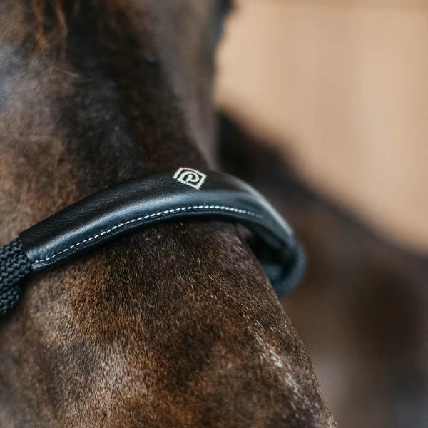 Training Halter | Dy'on | Durable