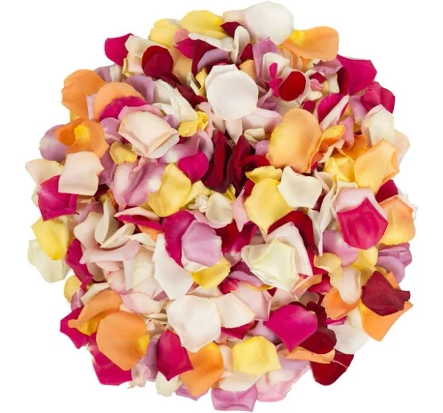 InBloom Group 5,000 Rose Petals - Rainbow, Assorted