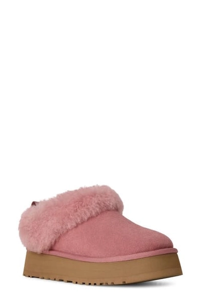 UGG(r) Tazzelle Genuine Shearling Collar Slipper in Pink Dawn at Nordstrom, Size 11