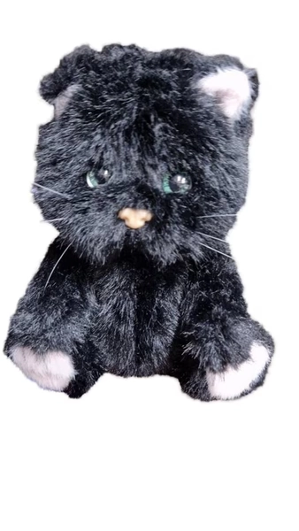 teddytales cat and Rabbit