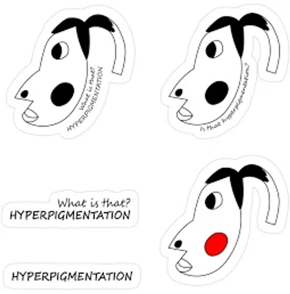 Pack of 5 Hyperpigmentation Tiktok Meme Designs Tiktok Sticker