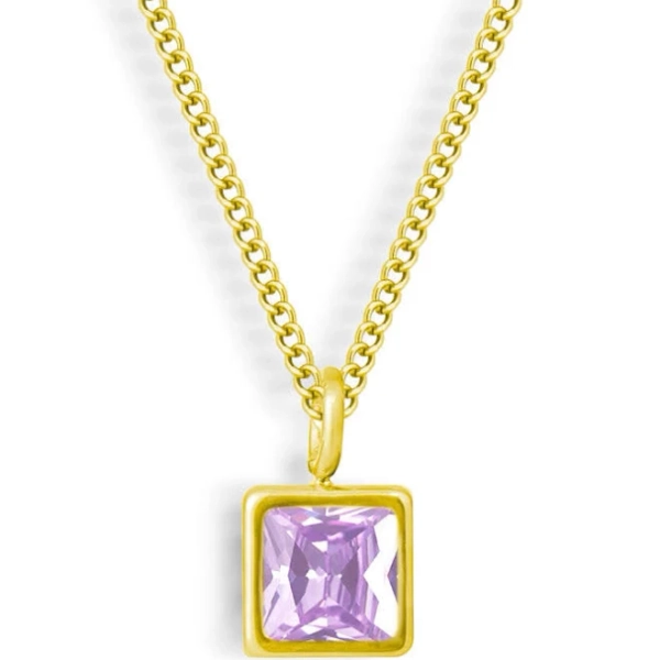 EVRY JEWELS WATERPROOF 18K Gold Plated Stainless Steel Faye Birthstone Necklace