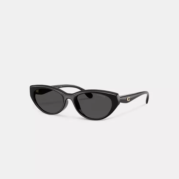 C Hardware Oval Cat Eye Sunglasses