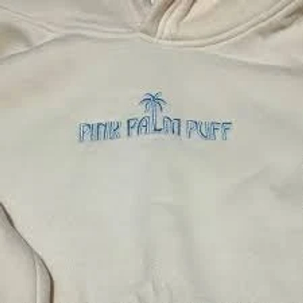 NEW PINK PALM PUFF hoodie. Sold out online. Brand new! Size small