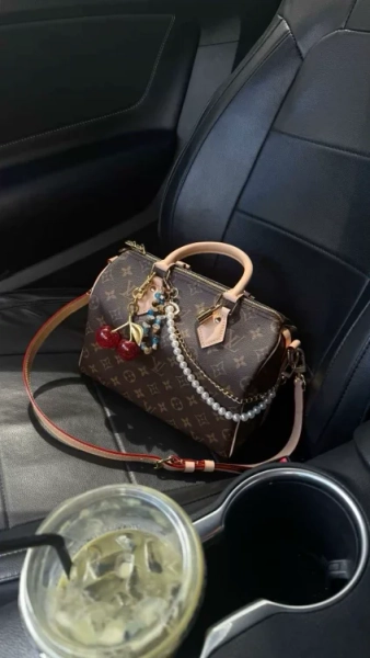Sac LV SPEEDY 25 