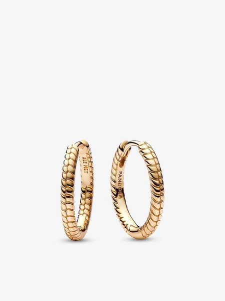 Pandora Moments Small Charm Hoop Earrings