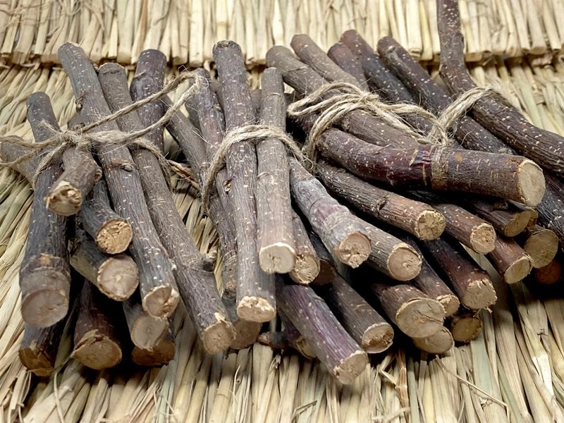 Organic Large Diameter Apple Wood Chews