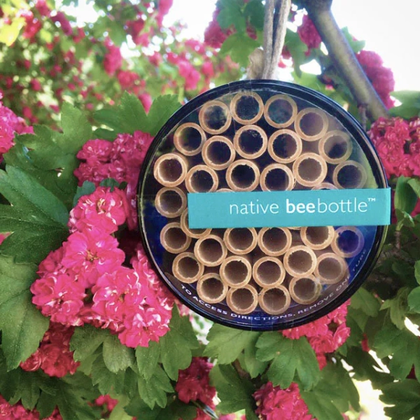 Native Bee Bottle | Pollinator House
