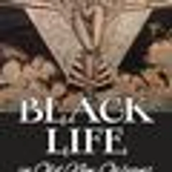 Black Life in Old New Orleans