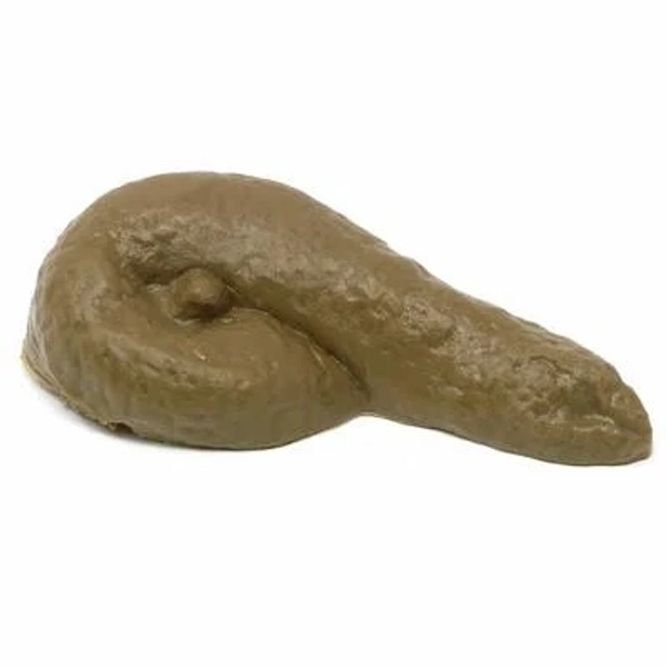 Skeleteen Realistic Fake Poop - for Gags and Pranks - Novelty Joke Plastic Toy for Halloween or April Fools Looks Real - 4.5" Long