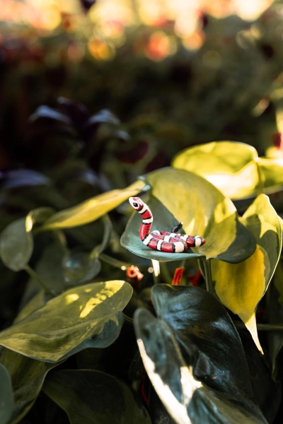 Mini Milk Snake - Polymer clay sculpture, mini milk snake sculpture, polymer clay charm, tiny snake model