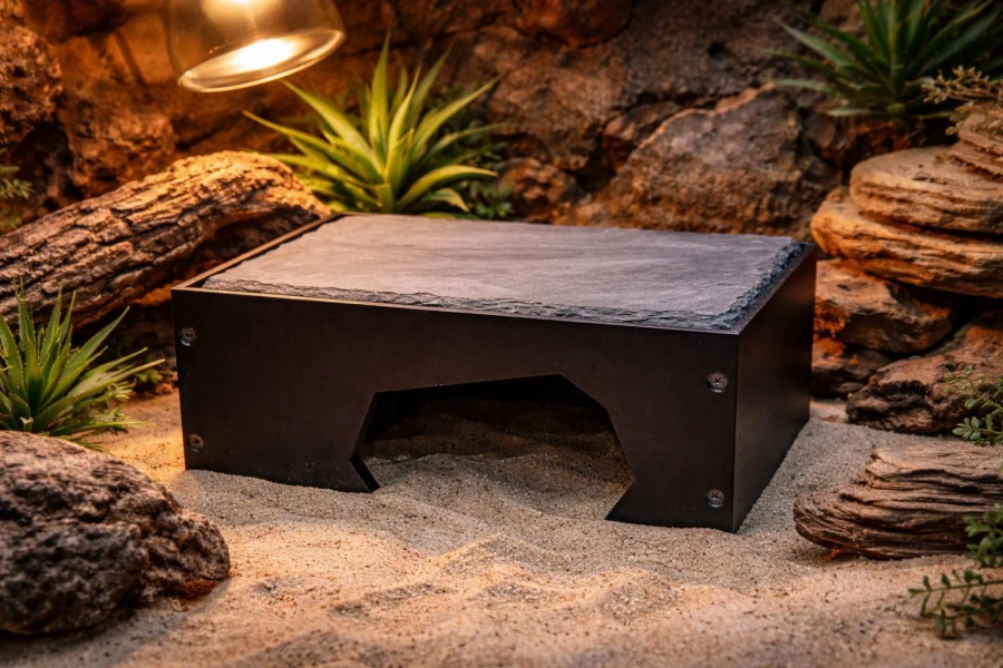 Natural Slate Reptile Hide
