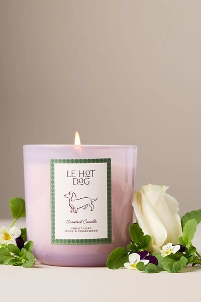 Papier x Anthropologie Woody Le Hot Dog Dachshund Glass Candle