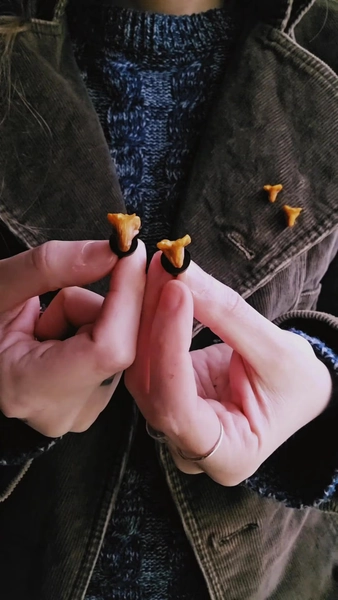 Tiny Chanterelle pins - mushroom,hobbitcore,goblincore,cottagecorefashion,autumn,fallvibes,forestfairyfashion,pin,fantasy,cozyfashion,cozy