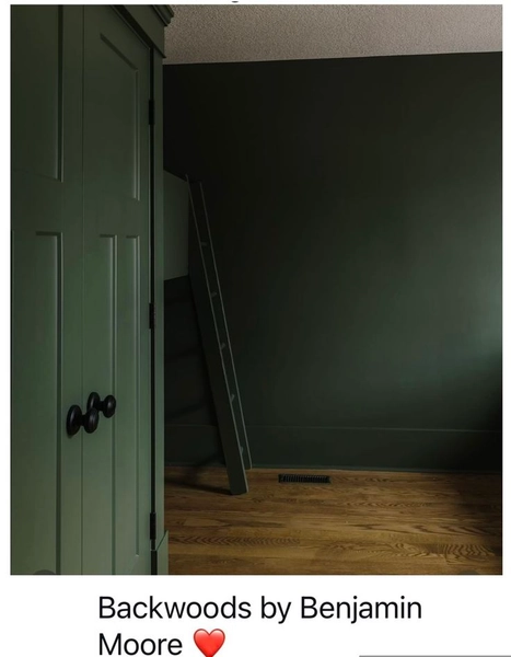 Behr paint dark green | Very dark green paint, Backwoods green benjamin moore, Green greys