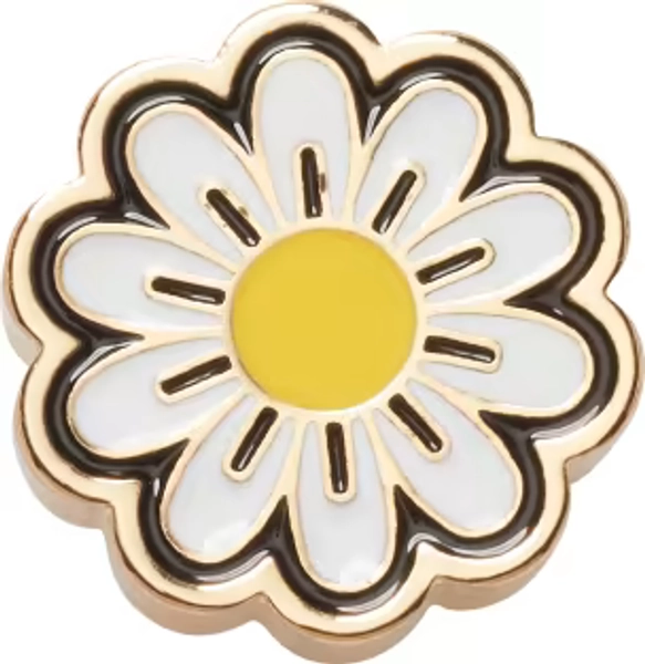 Elevated Daisy