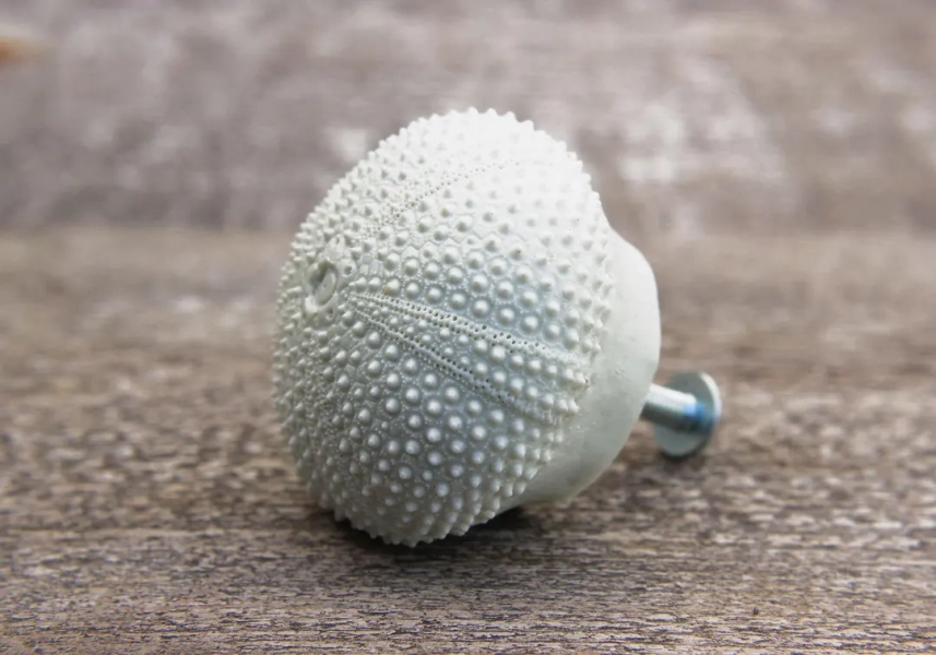 Sea Urchin Shell Knobs and Pulls Drawer Handles . Ideal for Your Beach and Coastal House ! Kitchen Storage Pantry Curio Liquor Bar Cabinet - Etsy Sweden