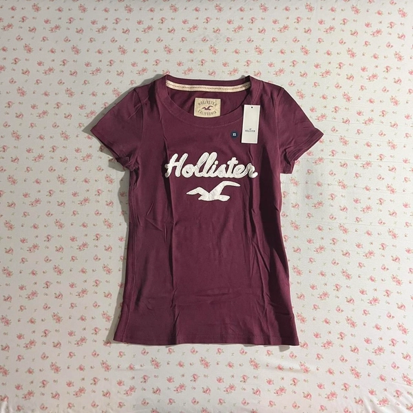 Hollister Co. 25th anniversary holiday vault logo...