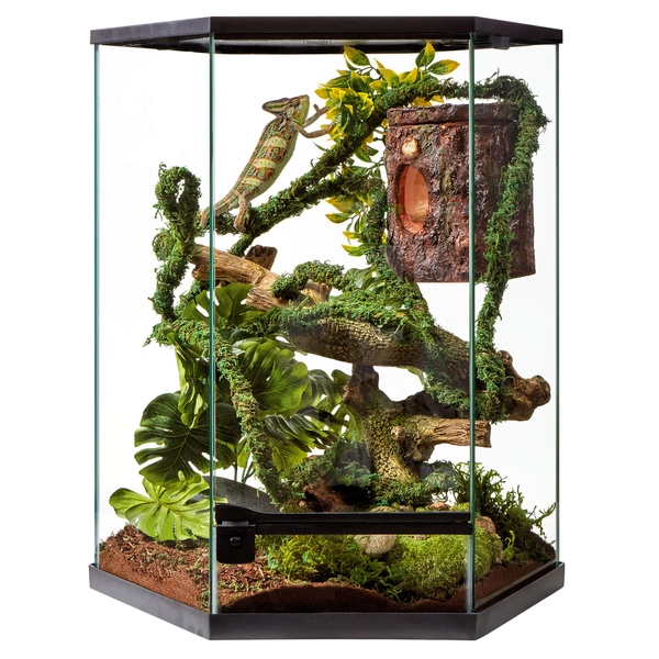Thrive Vertical Hexagon Tropical Reptile Terrarium - 20 Gallon