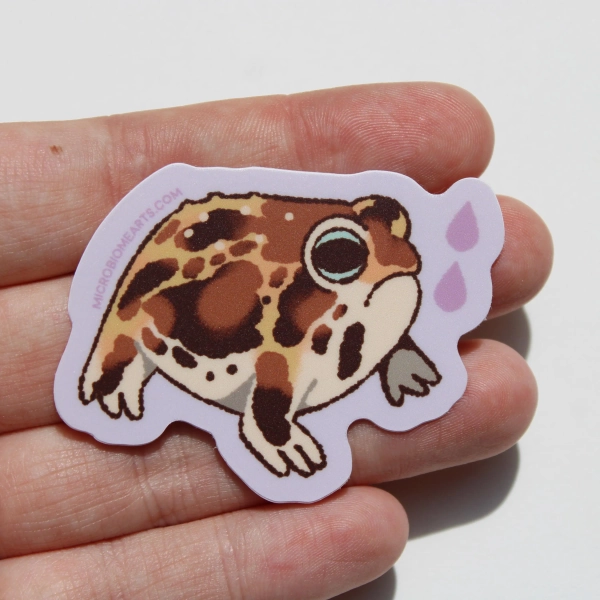 Desert Rain Frog Small Sticker | Terrarium Pet Amphibian Animal