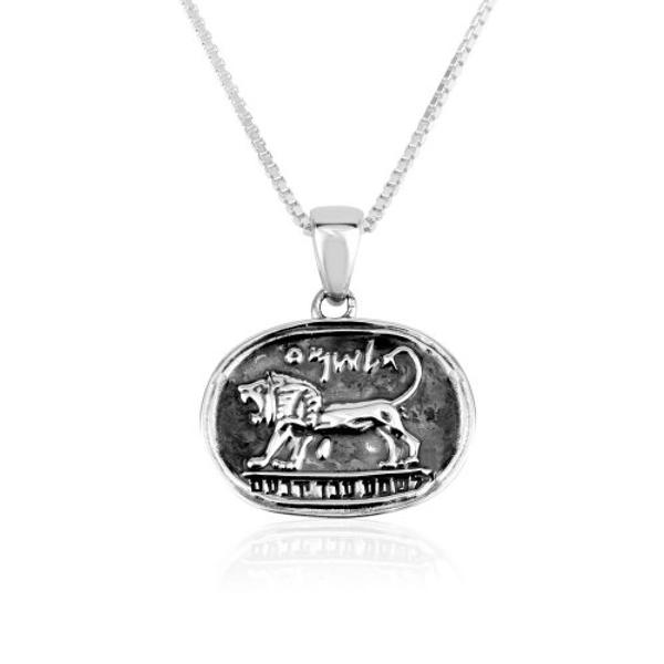 Sterling Silver Pendant Necklace, Lion of Judah on Black