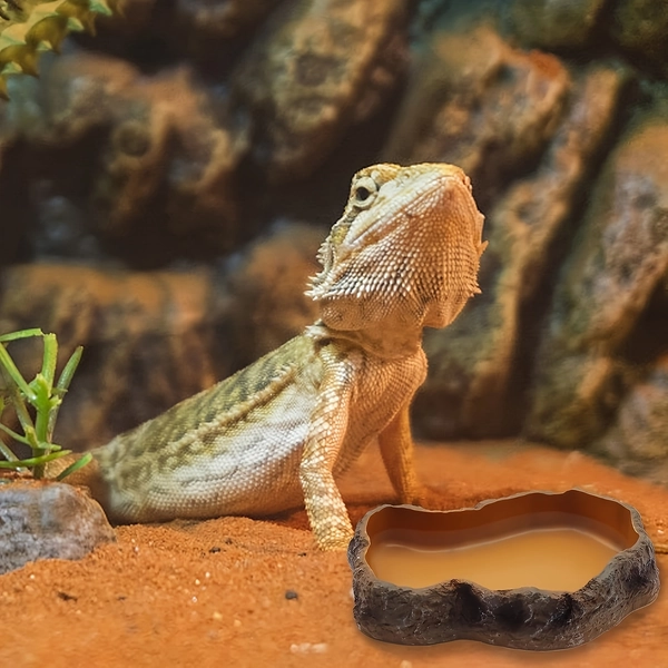 Calcium dish