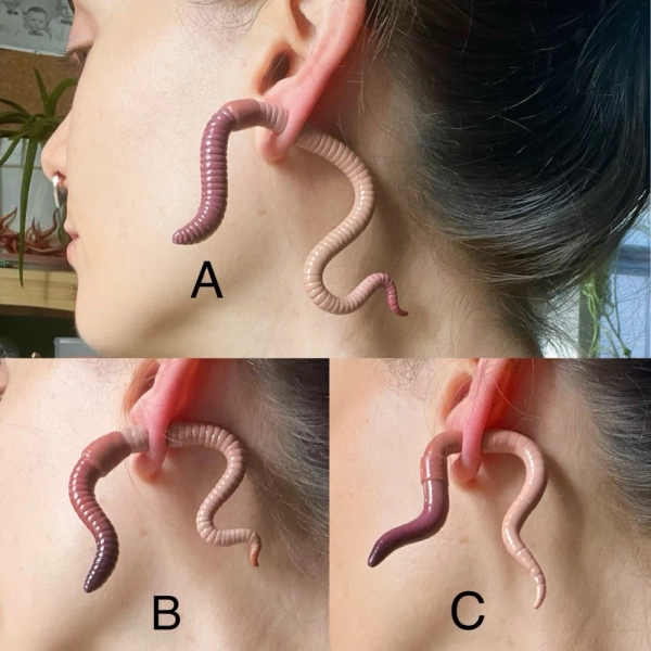 Double sided worm studs