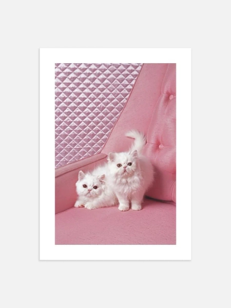 Pussycats Poster