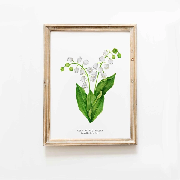 Lily of the Valley Art Print | Watercolor Floral Prints | Living Room, Dining, Kitchen, Nursery Wall Décor Lilly Convallaria Majalis Lilies - Etsy