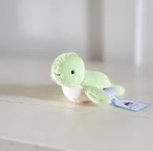 Fluffy Turtle