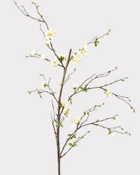 Lindsay Letters Cream Artificial Blossom Branch