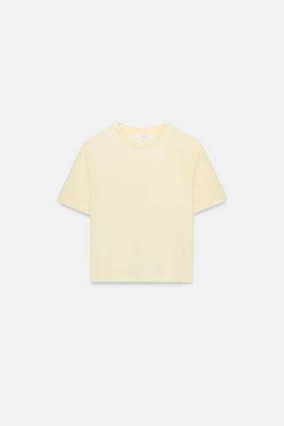 SHORT SLEEVE CROPPED TOP