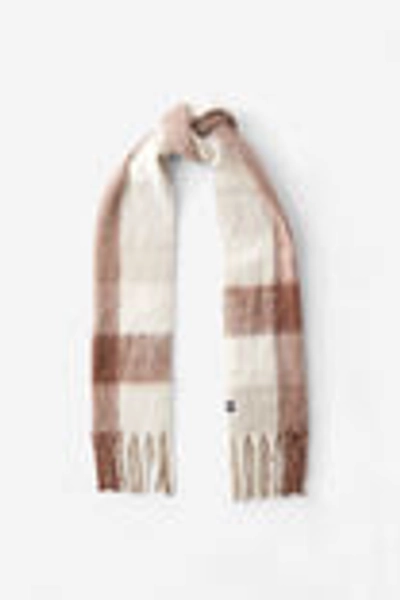 Body Chunky Knit Scarf