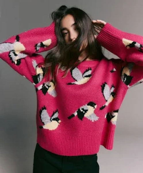 Next Women's Bird Crew Neck Knitted Jumper