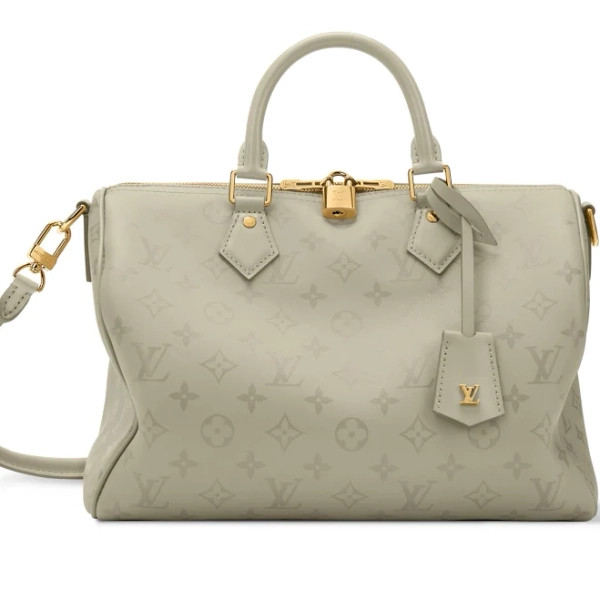 Louis Vuitton Speedy Soft 30 Private