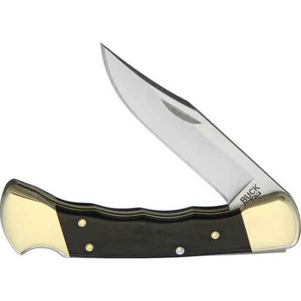Buck Folding Hunter Knife