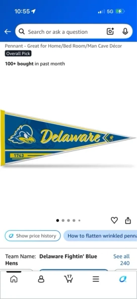 Amazon.com : Rico Industries NCAA Delaware Fightin Blue Hens Classic 12" x 30" Felt Wall Décor Pennant - Great for Home/Bed Room/Man Cave Décor : Sports & Outdoors