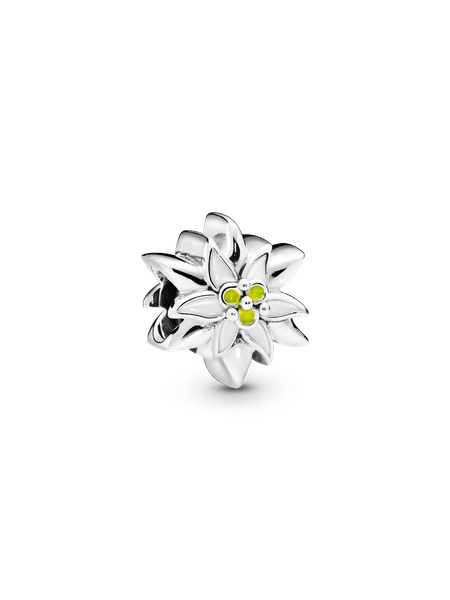 Charm Stella Alpina