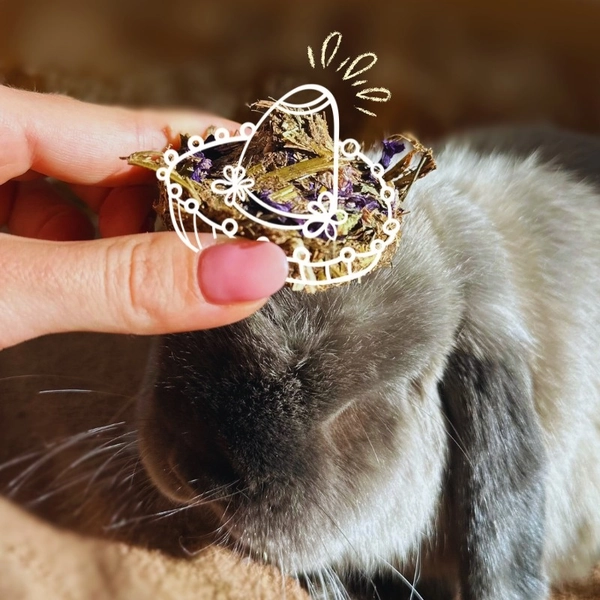 Bezobilné senné pamlsky SLÉZOVÉ SOMBRERO 3 ks