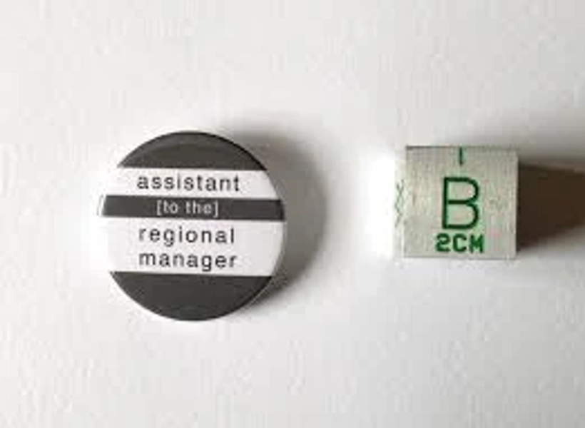 Button Pin Badge, Dwight Shrute, The Office US, Beets Bears, Battlestar Galactica, Nard Dog The Office Fan, Birthday Valentines Gift