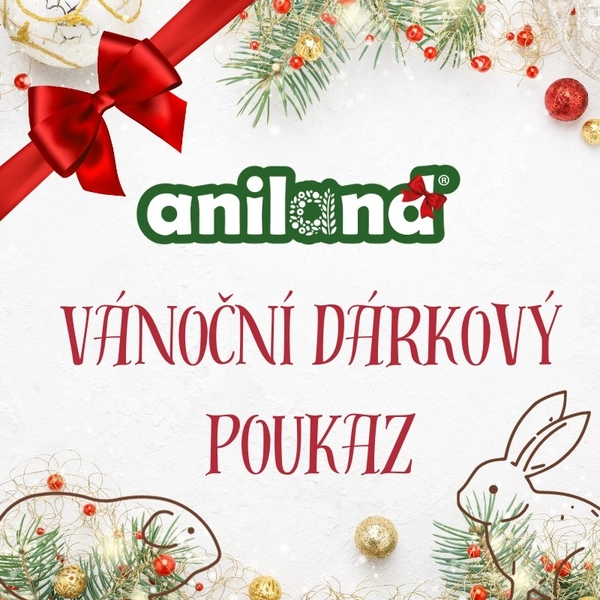 Vánoční dárkový poukaz 500 až 2 000 Kč