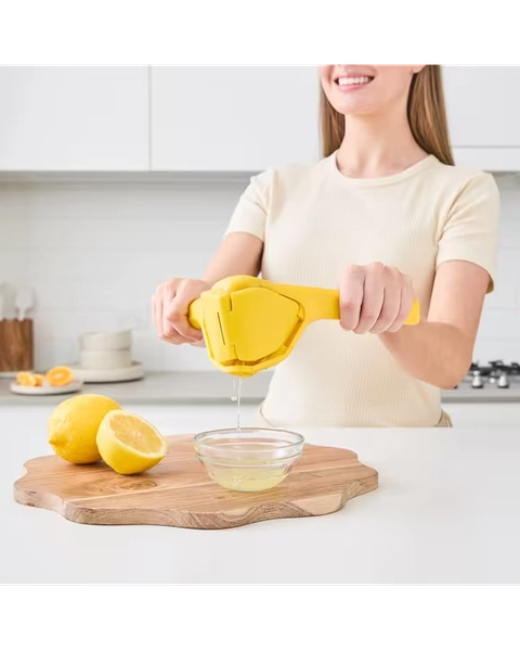 Folding Juicer