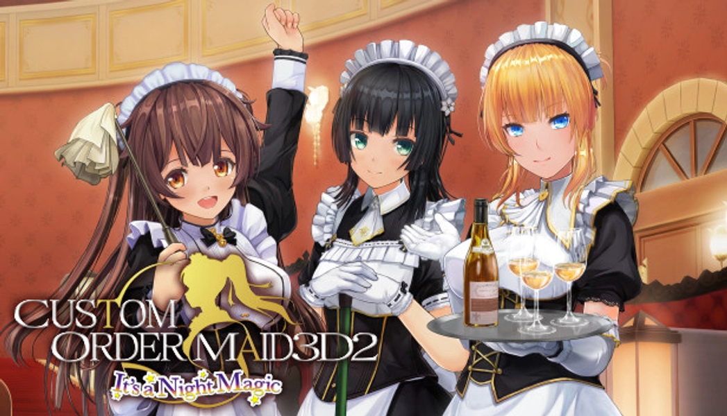 CUSTOM ORDER MAID 3D2 It's a Night Magic on Steam